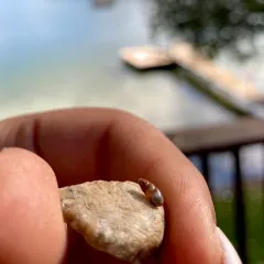 Glossy Pillar thumbnail 3