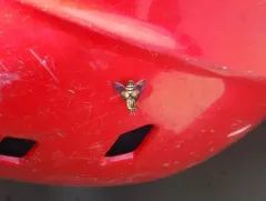 Venus Deer Fly thumbnail 1