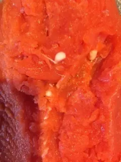 Henneguya salminicola thumbnail 3