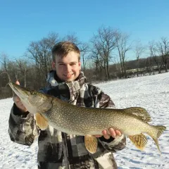 Northern Pike thumbnail 2