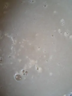 baker's yeast thumbnail 2