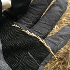 Quack Grass thumbnail 3