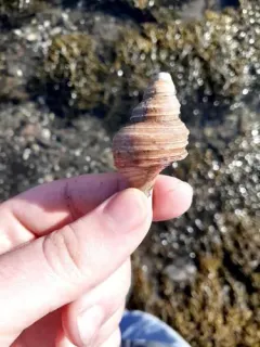 Rejected Neptune thumbnail 1