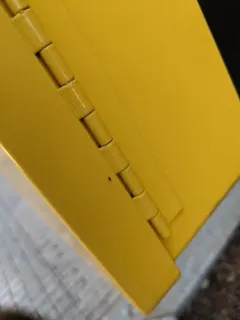 Holoplagia guamensis thumbnail 3