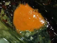 Red Velvet Sponge thumbnail 2