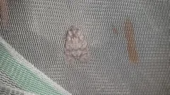 Lithophane atara thumbnail 2