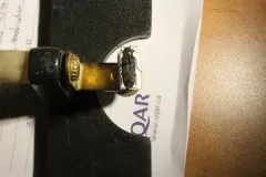 Blackman's False Darkling Beetle thumbnail 4