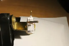 Oberea caseyi thumbnail 3