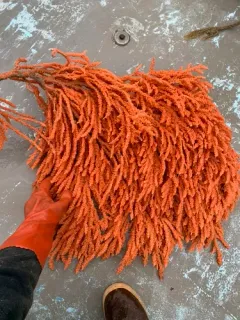 Pacific red tree coral thumbnail 3
