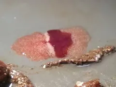 Notoplana sanguinea thumbnail 2