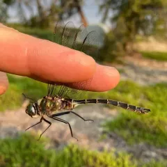 Lake Emerald thumbnail 3