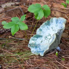 indigo milk cap thumbnail 3