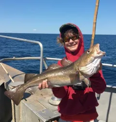 Atlantic Cod thumbnail 4