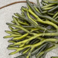 Dead Man's Fingers thumbnail 4