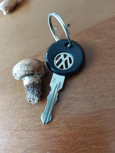 White Button Mushroom