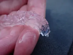 Paired-Bell Siphonophore thumbnail 2