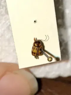 Bassareus formosus thumbnail 1