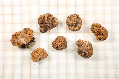 Ribbed Truffle