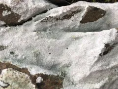 Rock Whitewash thumbnail 3