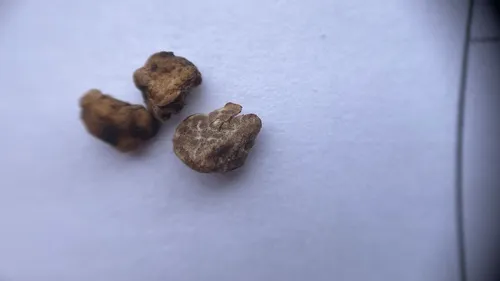 California Truffle