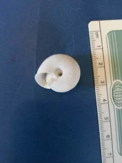 Spike-lip Crater thumbnail 4