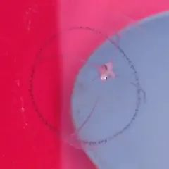 Cross Hydromedusa thumbnail 1