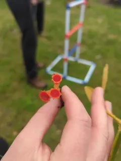 rosy goblet thumbnail 2