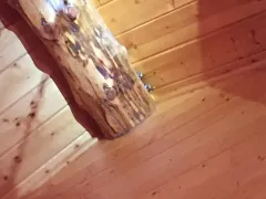 Western Small-footed Myotis thumbnail 2