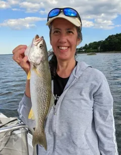 Weakfish thumbnail 2