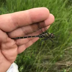 Lake Emerald thumbnail 1