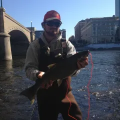 Coho Salmon thumbnail 2