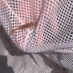 Sand Shrimp thumbnail 4