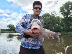 Black Buffalo thumbnail 3