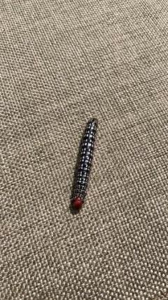 Azalea Caterpillar Moth thumbnail 2