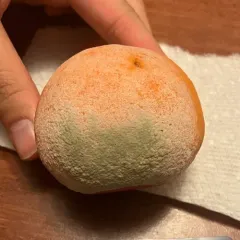citrus green mold thumbnail 4