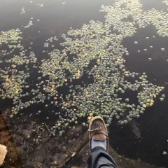 little floatingheart thumbnail 2
