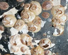 Bay Barnacle thumbnail 4
