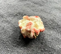 Coral-pink Merulius thumbnail 3