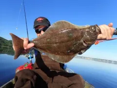 Atlantic Halibut thumbnail 4
