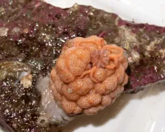 Sea Strawberry thumbnail 2