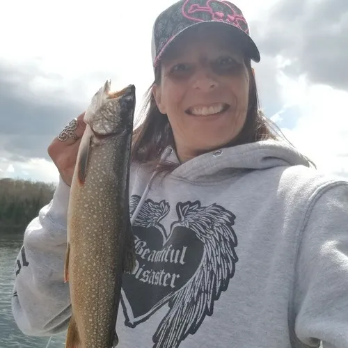 Lake Trout