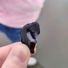 Northern Bay Mussel thumbnail 3