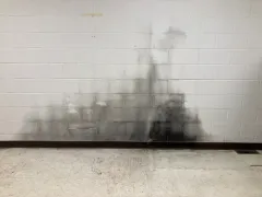 Black Mold thumbnail 2