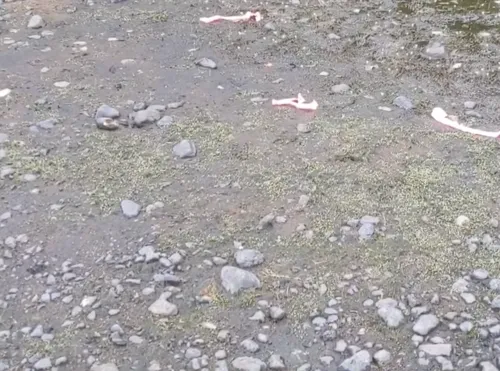 Mudmat