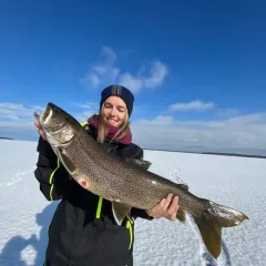 Lake Trout thumbnail 2