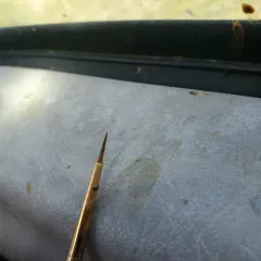 Varroa Mite thumbnail 1