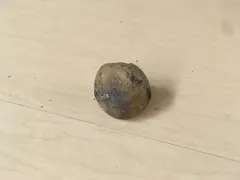 Russula turci thumbnail 4