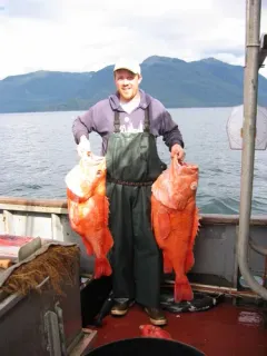 Shortraker Rockfish thumbnail 2