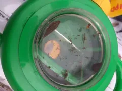 Brook Leech thumbnail 1