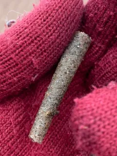 Ice cream cone worm thumbnail 4